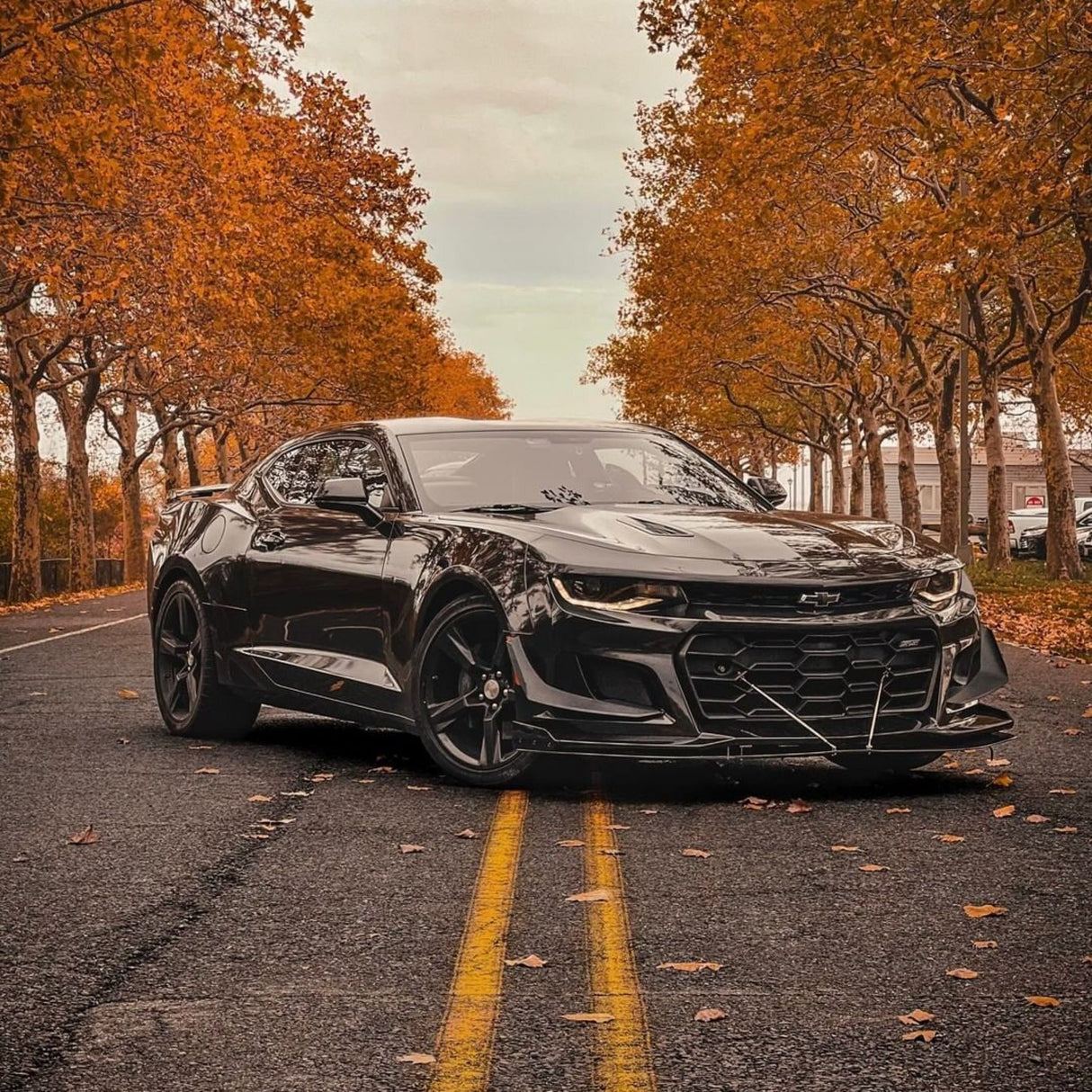 Muscle car elegantly wrapped in TeckWrap Gloss Coal Black (MT01-HD) Vinyl Wrap, positioned on an autumnal road, capturing the striking gloss finish that enhances vehicle aesthetics dramatically.