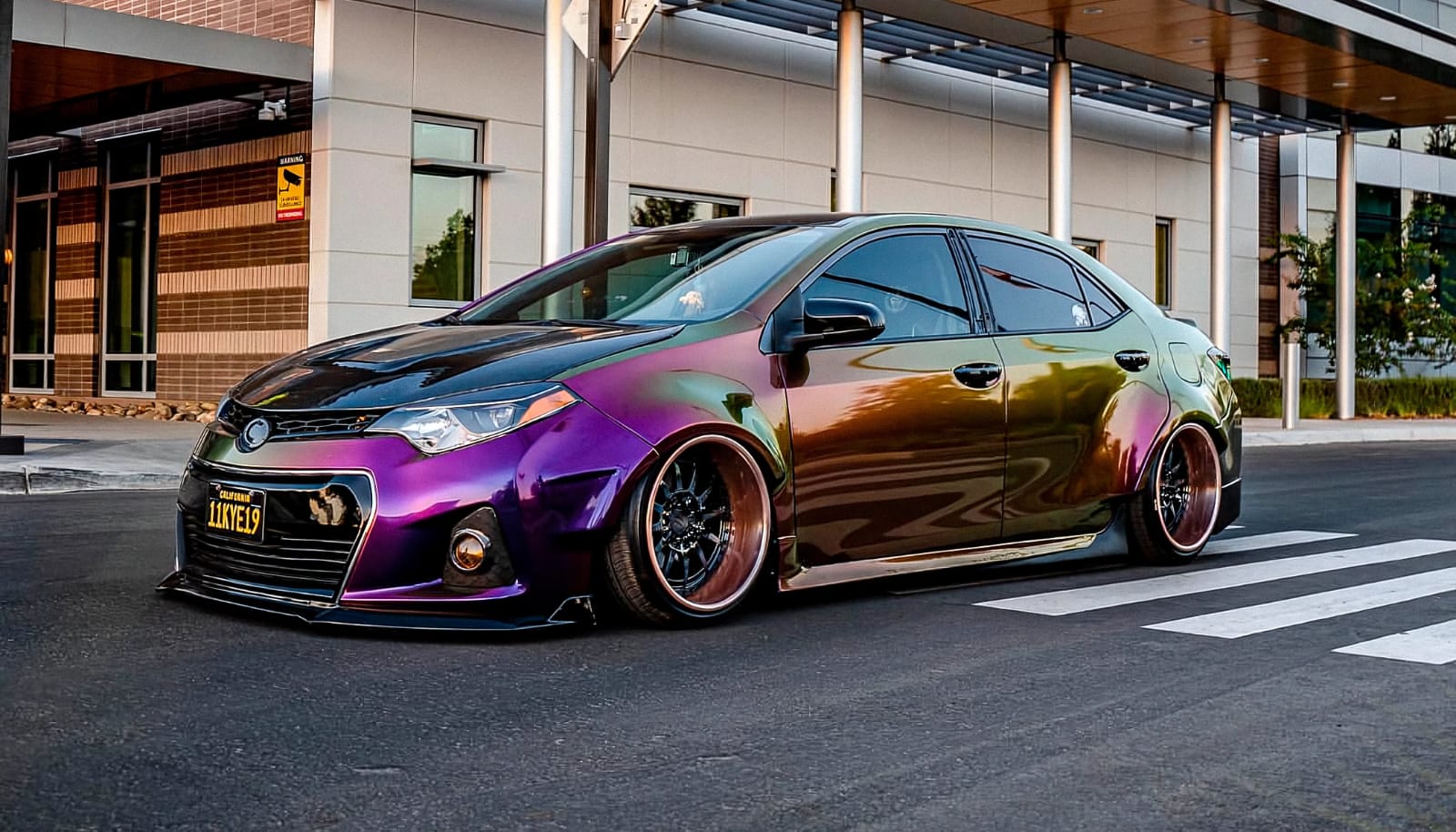 Toyota Corolla Wrap