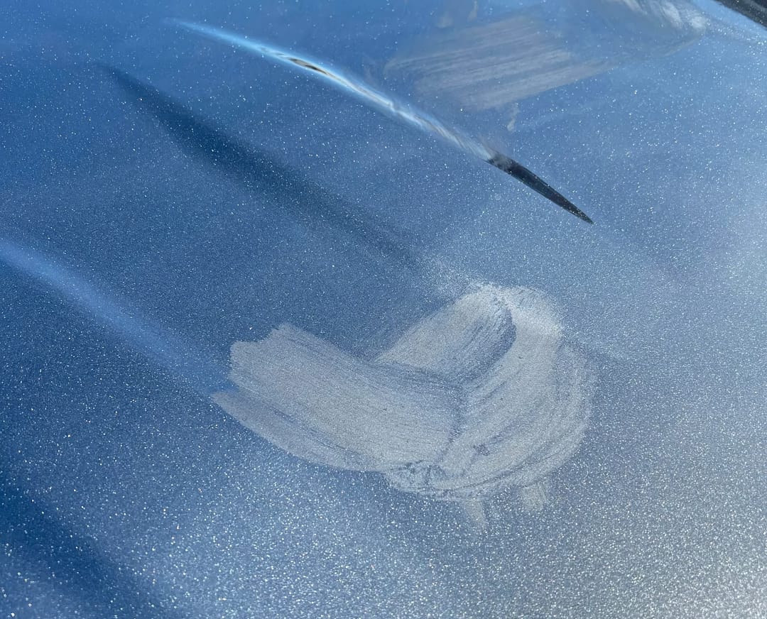 Can Tree Sap Damage Vinyl Wrap