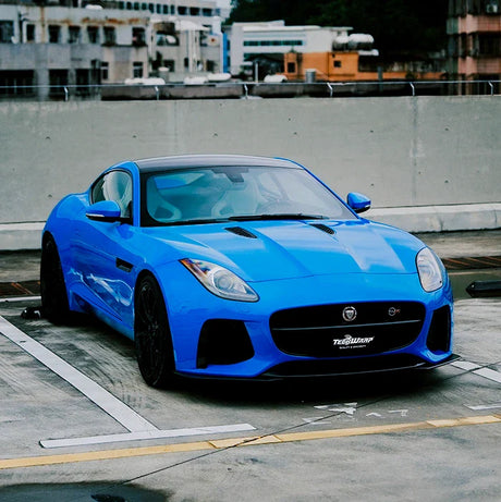 BLUE PAINT PROTECTION FILM