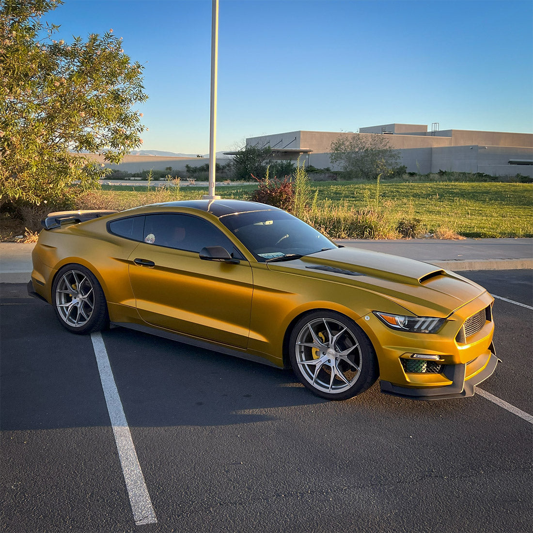 Golden Yellow (VCH408-S) Vinyl Wrap