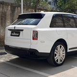 Gloss Pure White Color PPF (CPX302)