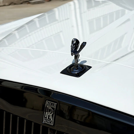 Gloss Pure White Color PPF (CPX302)