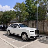 Gloss Pure White Color PPF (CPX302)