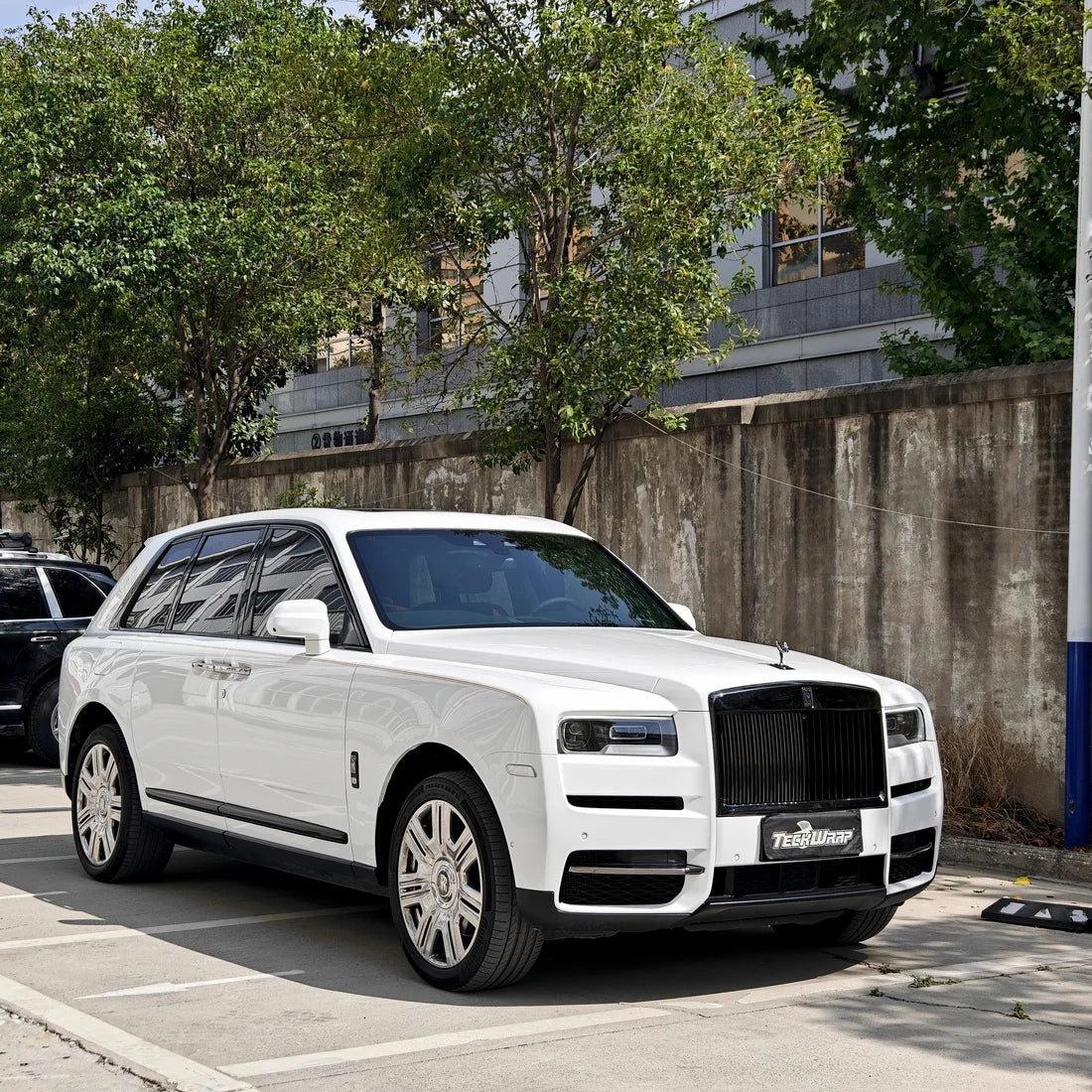 Gloss Pure White Color PPF (CPX302)