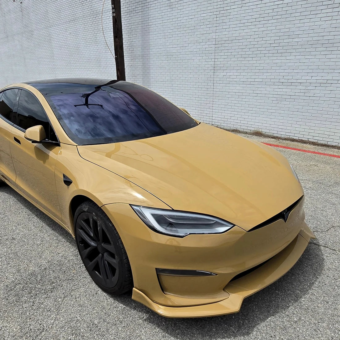 Gloss Golden Fleece Color PPF (CPX304)