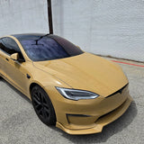 Gloss Golden Fleece Color PPF (CPX304)