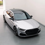 Gloss Stellar Silver Color PPF (CPX406)