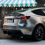 Gloss Lustrous Silver Color PPF (CPX407)