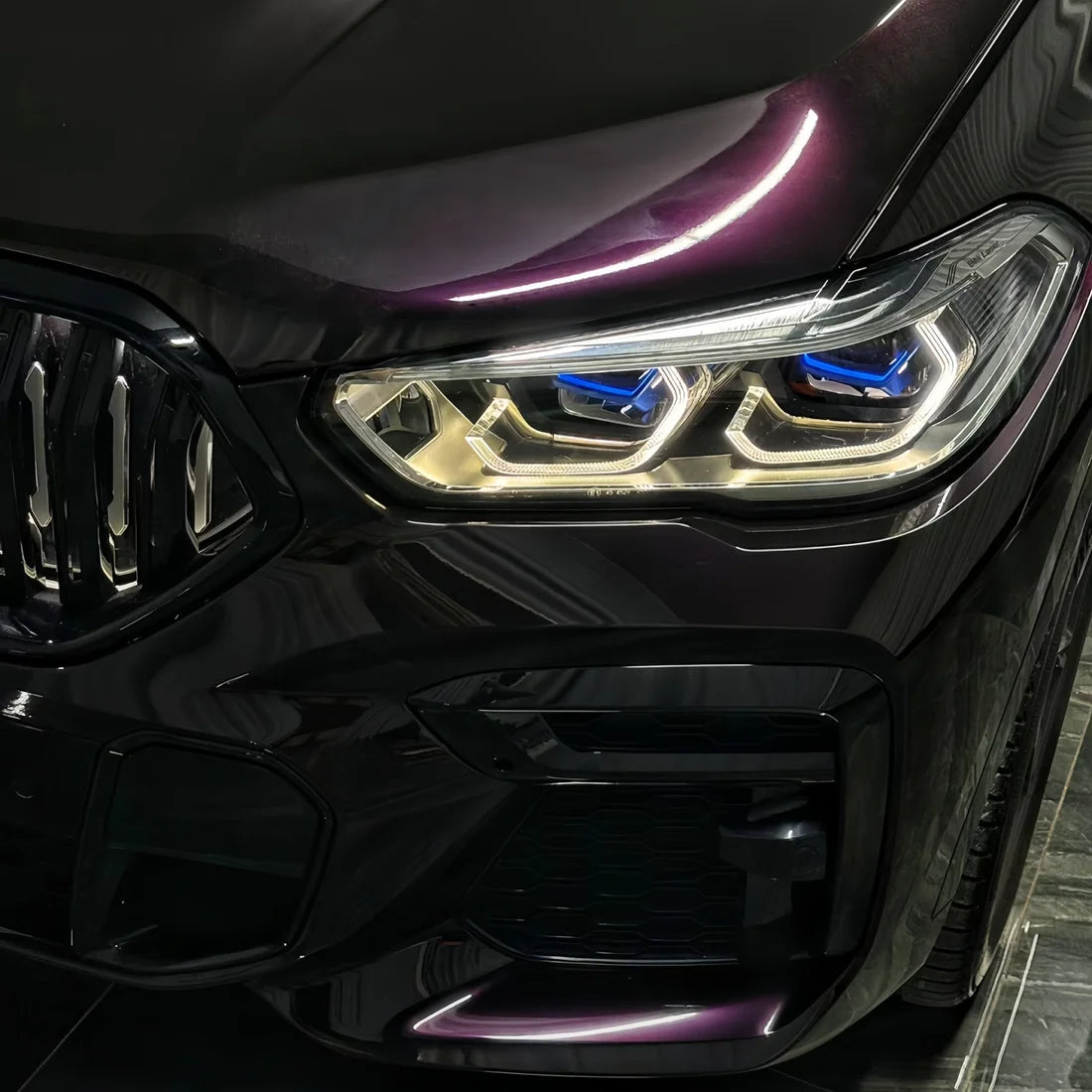 Gloss Black Plum Color PPF (CPX414)