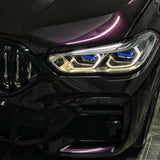 Gloss Black Plum Color PPF (CPX414)