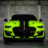 Gecko Green (CG41-HD) Vinyl Wrap - High Quality Car Wraps, vinyl wraps, supper matte & high-gloss colors - Teckwrap